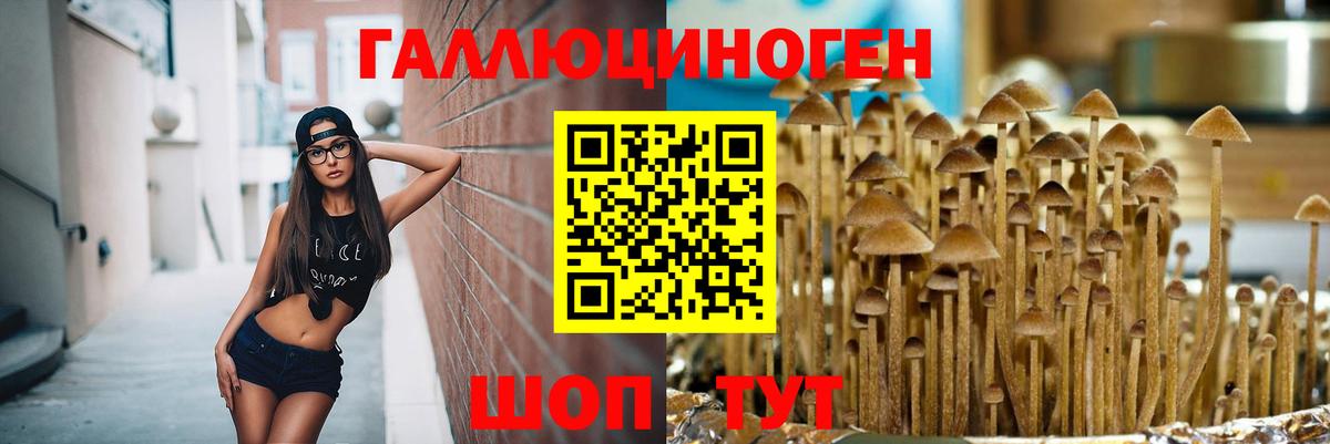 Псилоцибиновые грибы Psilocybe  Вход с VPN  Галлюциногенные грибы прущие грибы  Сарапул 